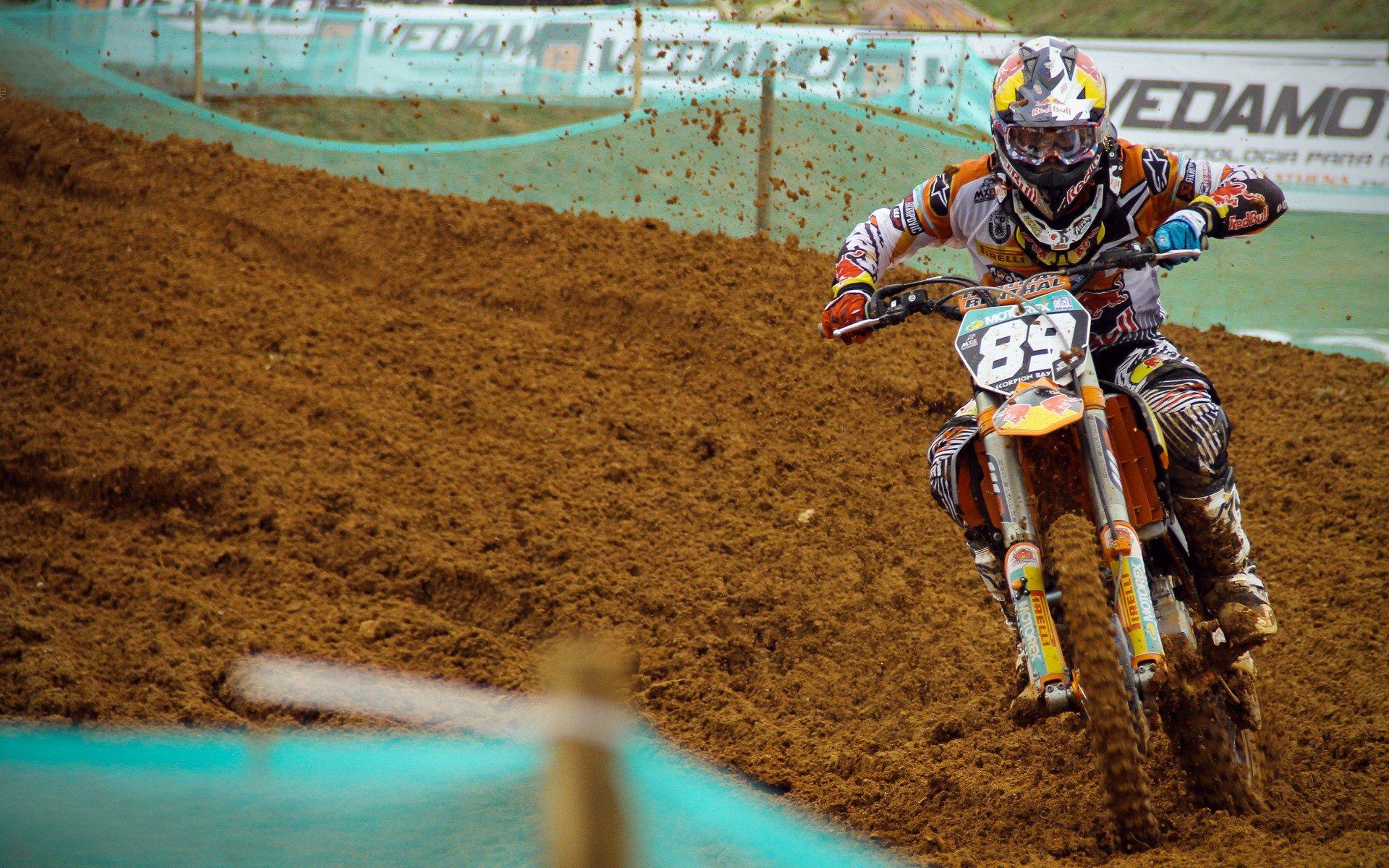 本菲卡官宣光明球场升级计划，70000座体育娱乐综合体即将诞生